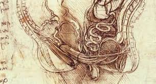 Image result for arte omosessuale