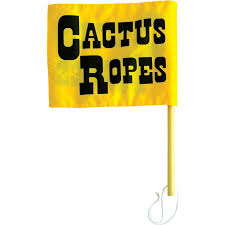 They are very waterwise and some can be easily rooted from just a while at the event, i was fortunate enough to get cuttings from several cactus in the new opuntia collection. Cactus Ropes Flagger S Flag
