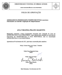 UNIVERSIDADE FEDERAL DE MINAS GERAIS ANA VIRGINIA PRATES MARTINS ABORDAGENS  DE APRENDIZAGEM E FUNÇÕES EXECUTIVAS: CONSTRUTOS