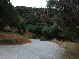 Livada de măr este de tip intensiv și este dotată cu sistem de suport și sistem de irigare prin aspersiune. Wandern Plakias Muhlenwanderung Tour 46562