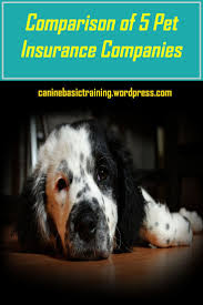 A Comparison Of Five Pet Health Insurance Plans Pet Health Insurance Pet Insurance Dog Insurance