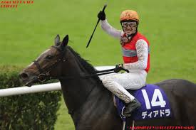 クイーンステークス 予想 データ コース ⇒東京オリンピックの熱い戦いが注目を集める昨今だが、競馬界の夏の女王決定戦も負けてはいない！ ã‚¯ã‚¤ãƒ¼ãƒ³ã‚¹ãƒ†ãƒ¼ã‚¯ã‚¹2018ã®äºˆæƒ³ã‚ªãƒƒã‚º äººæ°—ã¨æ—¥ç¨‹ å‡ºèµ°äºˆå®šé¦¬ã¯