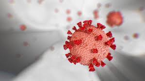 The latest coronavirus news from bloomberg, including live updates, maps and analysis. What Is Coronavirus And Covid 19 An Explainer Cnn