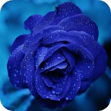 Vx28 circle earth blue color pattern background wallpaper. Blue Color Wallpapers Amazon In Appstore For Android