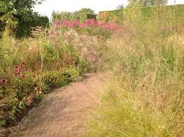 Pin On Piet Anja Oudolf S Garden Hummelo Netherlands Saturday 21 September 2013