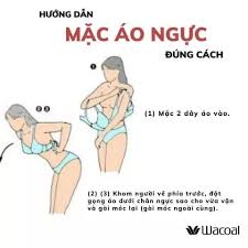 Wacoal Việt Nam Cách mặc áo ngực đúng cách thêm tự tin - Blog Wacoal Việt  Nam