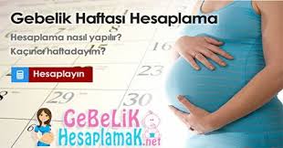 Gebelik Hesaplama Hamilelik Gebelik Haftasi Gebelik Takvimi Hamilelik Menopoz Bebek