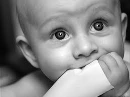 Download wallpaper hitam polos desktop wallpapers resolution. Bayi Lucu Mata Polos Tidak Bersalah Lucu Bayi Mata Wallpaper Hd Wallpaperbetter