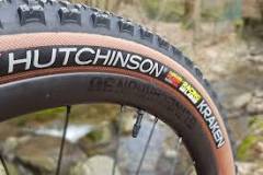 Cuáles son los 10 mejores neumáticos MTB?