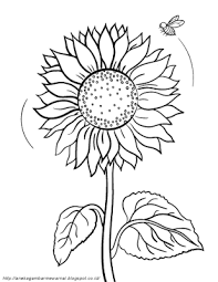 Bunga ini disebut bunga matahari, karena bentuknya yang menyerupai sinar matahari yang memancar. Gambar Mewarnai Bunga Matahari Untuk Anak Paud Dan Tk Sunflower Coloring Pages Bee Coloring Pages Fall Coloring Pages