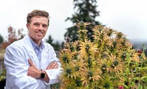March 4 at 1:25 pm ·. Medical Marijuana Doctors In Orlando Florida Calmeffect Com