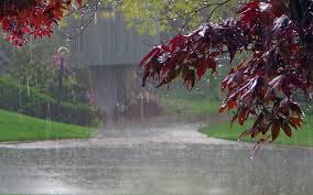 Pin By Robert Picardo On Genel Rain Wallpapers Rain Photography Summer Rain