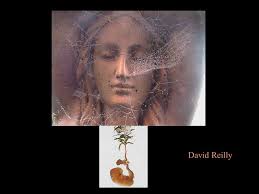 Cobweded face David Reilly. Nutrition and Physical Degeneration Weston A  Price 1st Ed extracts David Reilly.