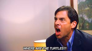 Where Are The Turtles Where Are They The Office Show Office Quotes Office Humor