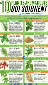 10 Plantes Qui Soignent Et Laquelle Utiliser Selon Vos Symptomes Conseils Alimentaires Aliments Anti Cholesterol Remedes Naturels