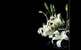 Flowers Wallpapers Lilies Flowers Wallpapers Easter Backgrounds Easter Wallpaper Happy Easter Wallpaper