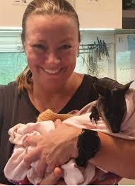 Sydney Wildlife Rescue