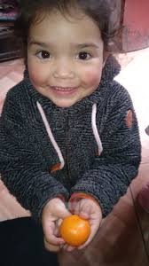 Pino y napolitanas Mil hoja queso y napolitanas Ricas y doraditas.