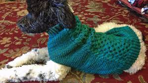 Consider supporting knitty on patreon. Pup Needs A Second Coat Try Making It Yourself