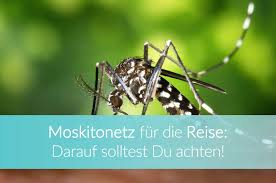 Eur 18,99 voriger preis eur 18,99 + versand. Moskitonetz Reise Das Beste Insektennetz Fur Unterwegs