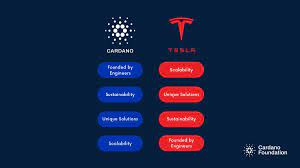 The cardano price rallied last week as investors looked for a better alternative to bitcoin after tesla decided to abandon bitcoin. Cardano Foundation Cardanostiftung Twitter