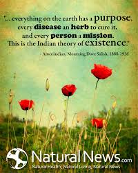 Quotes About Everything Has A Purpose 30 Quotes
