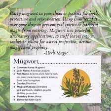 I will also never advocate. About Paganism On Twitter Mugwort Is A Powerful Magical Herb And It S Easy To Grow Learn More About It And Other Herbs Too In Herb Magic Available April 21 Https T Co Rlahfcbybh