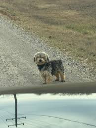 Im helping my adult disabled step son get a job. He tried the traditional  route and several times during the interview was told he wouldn't be a good  fit because he would