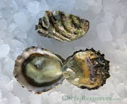The 5 Oyster Species Chefs Resources