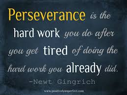 Perseverance Some Good Quotes Like Quotes Special Quotes
