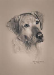 38 Trendy Drawing Animals Realistic Dogs Dog Drawing Dog Sketch Realistic Drawings