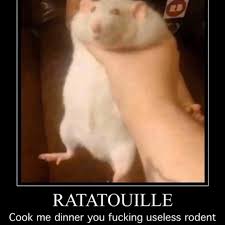 An element of a culture or system of behavior that may be considered to be passed from one individual to another by nongenetic means, especially. Fat Rat Being Grabbed Know Your Meme