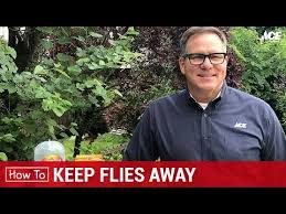 Come and fly away with me! How To Keep Flies Away Ace Hardware Youtube