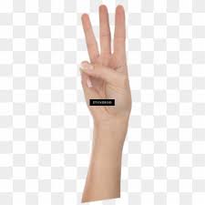 We didn't want your discord memes to be dreams, so we've got a nifty little system to keep track of all your emojis to always be on hand for . Hand Png Meme