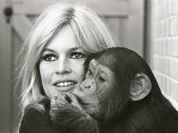 Su 7 Brigitte Bardot: «Io una pioniera, fui la prima vera animalista» -  Corriere.it