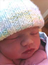 Debra Seiber Obituary (2013)