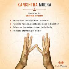 Pin By Harharhari On Yogarsn In 2020 Yoga Mantras Mudras How To Relieve Nausea