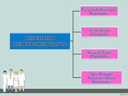 We did not find results for: Kesehatan Reproduksi Wanita Ppt Download
