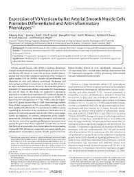 Expression of V3 Versican by Rat Arterial Smooth Muscle Cells Promotes  Differentiated and Anti-inflammatory Phenotypes*