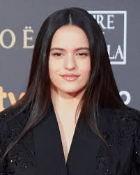 Latin Grammy Award for Best Short Form Music Video