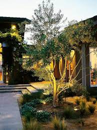 Landscape Lighting Tips Outdoor Landscape Lighting Landscape Lighting Design Modern Landscape Lighting