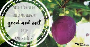 Maybe you would like to learn more about one of these? Why Did God Put The Tree Of Knowledge Of Good And Evil In The Garden Of Eden Gotquestions Org