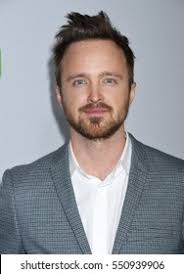 904 Ilustrasi, Foto Stok, dan Gambar Aaron paul Tanpa Royalti