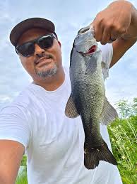 Have other anglers noticed black fish in the area?