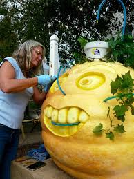 Image result for giant pumpkin