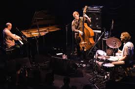 Medeski Martin Wood Music Bands Martin Wood