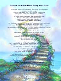 Find out with this quiz! Free Rainbow Bridge Poem Shefalitayal