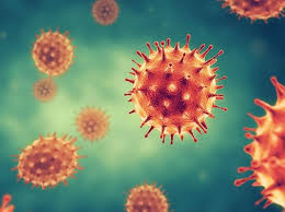 Coronaviruses can result in severe illness for some people in our communities. Maharashtra Monsoon Session Begins With Coronavirus Prevention Norms Business Standard News