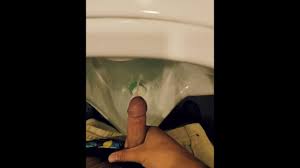 Urinal cum