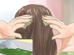 From preventing hair fall to fighting frizziness, aloe vera does it all. 3 Ways To Condition Your Hair With Aloe Vera Wikihow